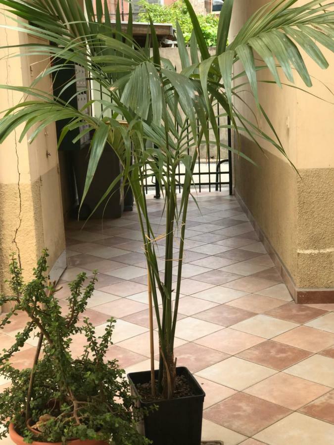 Garden Carras Daire Nice Dış mekan fotoğraf